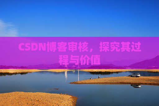 CSDN博客审核，探究其过程与价值